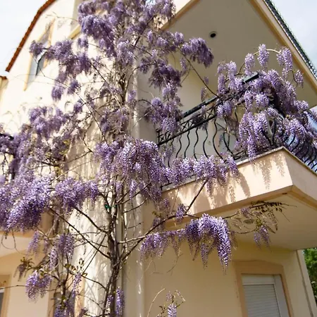 Alkiviadis Maisonette By Rentalspro Services Portaria * Paralia Dionysiou