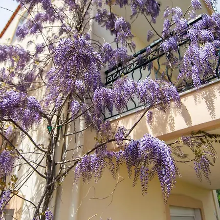 Alkiviadis Maisonette By Rentalspro Services Portaria Holiday home