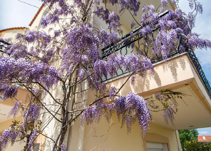 Alkiviadis Maisonette By Rentalspro Services Portaria Case de vacanță
